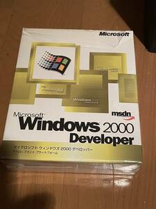 Microsoft Windows 2000 developer