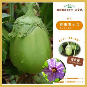 【在来青ナス】国内産 なすの種 在来種 野菜のタネ 自然農法 家庭菜園 茄子