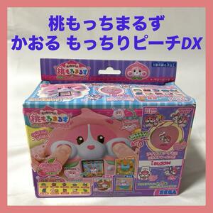 セガトイズ もっちりペット 桃もっちまるず かおる もっちりピーチDX