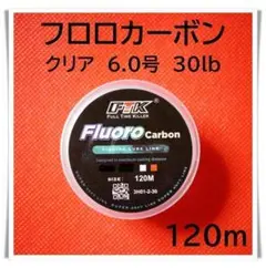 フロロカーボン　6.0号　30lb 120m （クリア）釣り糸　ライン