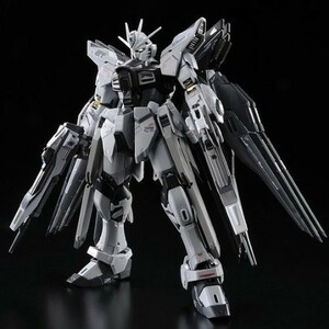 RG 1/144 ZGMF-X20A ストライクフリーダムガンダム ディアクティブモード