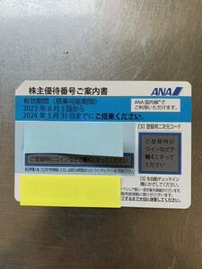 全日空　ANA　株主優待券1枚（期限2024年5月31日） 未使用・送料無料