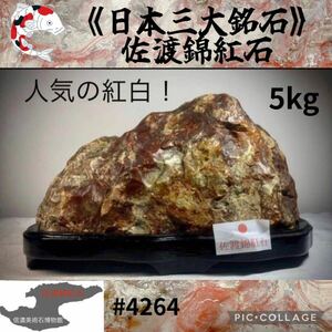 【信濃美術石博物館】 水石 佐渡錦紅石 横28×高19×奥行11(cm)5kg佐渡赤玉石 羽茂五色赤玉赤石盆栽骨董盆石鑑賞石観賞石太湖石4264