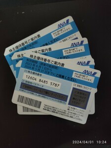 日本航空 ANA 株主優待券2枚　即決　20240531期限 送料無料 