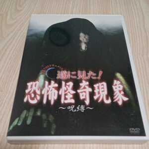 レンタル落ち　心霊THEドキュメント　遂に見た!恐怖怪奇現象　呪縛 DVD