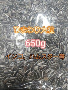 ひまわりの種 大粒 650g ひまわりの種 鳥の餌 小動物の餌 オウム インコ ハムスター