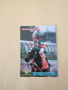 バンダイ　競馬カード　RETROSPECTION ノアノハコブネ　145