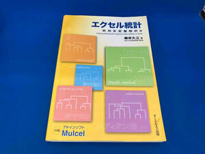 エクセル統計 柳井久江