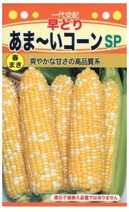 とうもろこし 早どり あま～いコーンSP 種子 野菜のたね 家庭園芸