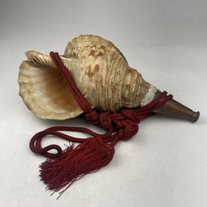 法螺貝　ほら貝　ホラ貝　楽器　重量約1.2kg　/　密教道具　縁起物　置物　和楽器　.1912