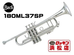 新品 Bach 180ML37SP 限定 特別セール！！ 778434
