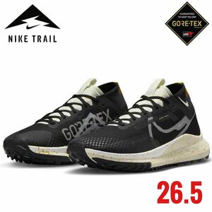 NIKE ナイキ　NIKETRAIL ナイキトレイル　ランニングシューズ　ペガサストレイル　ゴアテックスpegasusutrail トレイルラン トレラン　B