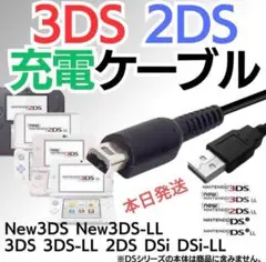 本日発送Nintendo 3DS&2DS対応/充電器ケーブル　cj