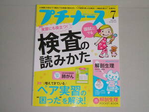 新品★プチナース 2019年7月号国試にでる検査の読みかた/ペア実習の困ったを解決! /付録:解剖生理ポケットBOOK 