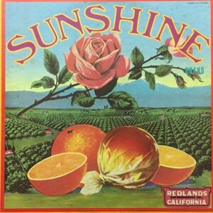 Sunshine - Sunshine（★盤面極上品！）