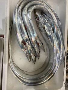  太刀魚 １尾　約５００g たちうお タチウオ