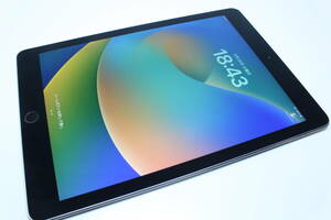 【ジャンク品/SIMフリー】iPad Pro（9.7インチ）Wi-Fi/256GB〈MLQ62J/A〉A1674 ④