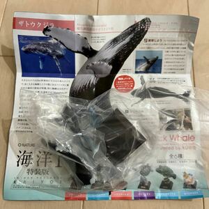 ネイチャーテクニカラー　海洋Ⅰ 特装版　ザトウクジラ