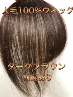 人毛100%ウィッグ　人毛100%ヘアピース　人毛部分ウィッグ