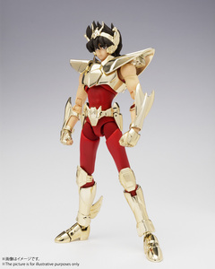 新品 聖闘士聖衣神話EX ペガサス星矢(新生青銅聖衣)～GOLDEN LIMITED EDITION～ 魂ネイションズ東京/聖闘士星矢