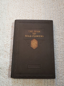 1924年 米国 野生植物図鑑『The Book of Wild Flowers』