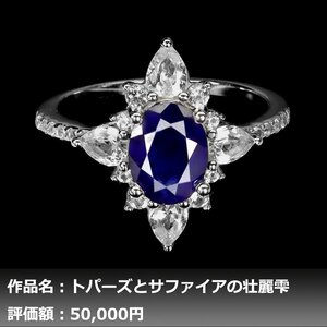 【1円新品】イケゾエガレ｜3.00ct 天然ブルーサファイア&ホワイトトパーズ K14WG仕上リング 17号｜作家モノ｜本物保証｜NGL鑑別対応