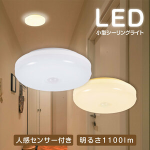 人感センサー付き　LED小型シーリングライト　ホワイト　LEDCL-GYD01-WH　MC