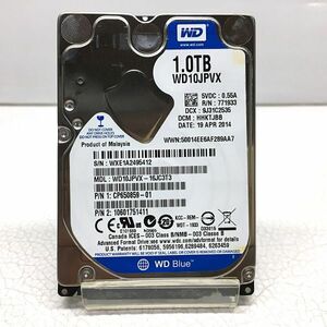 5412【送料無料・9.5mm厚 HDD（正常品）】WD WD10JPVX-16JC3T3 1TB（1000GB / 2.5インチ 9.5mm厚）★一週間保証★