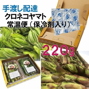 【早期予約に限り100円引】【保冷剤入り】【220g】［新潟魚沼産］山菜の王様「たらの芽」＆ 女王「コシアブラ」２種