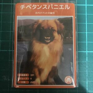 【犬種図鑑カード】 No.085 チベタンスパニエル