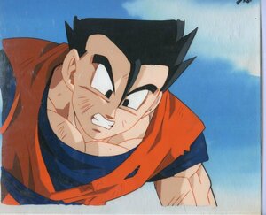 Aセル画　ドラゴンボール（DRAGON BALL）　其の932