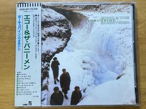 帯付 88年ワーナー国内初期3200円盤(32XD-967) エコー＆ザ・バニーメン(ECHO & THE BUNNYMEN) 83年[ポーキュパイン(PORCUPINE/やまあらし)]