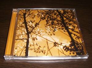 ☆ GAS / KONIGSFORST 輸入盤CD ☆2020年 KOMPAKT WOLFGANG VOIGTのプロジェクト 初期復刻 BASIC CHANNEL MILLE PLATEAUX THOMAS FEHLMANN