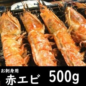 【お刺身・鍋・焼】大赤エビ　500ｇ　お試し用サイズ　お中元　お歳暮　ギフト　あかえび　アカ　お鍋　お寿司　海老