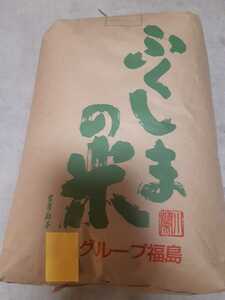 令和5年度 福島県中通り産 こしひかり 白米 10kg　色彩選別　農家直送　送料無料　