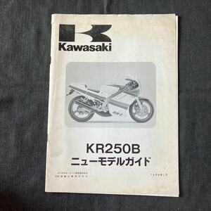 p090602 電装配線図有り 補足版 カワサキ KR250B(B1)ニューモデルガイド 1988年1月
