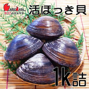 【かにのマルマサ】北海道産 活ホッキ貝 1キロ詰（3～4個入）