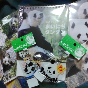 まいにちタンタン　日めくり カレンダー　タンタン　王子動物園　ポストカード　アクリルキーホルダー　ジャイアントパンダ　パンダ　Panda