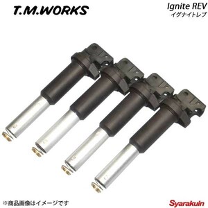 T.M.WORKS ティーエムワークス Inside Ignite REV PEUGEOT 206 T1NFU NFU IRG108