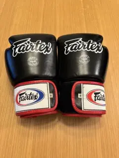 Fairtex フェアテックス グローブ 10オンス