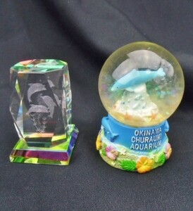 2点 イルカ スノードーム 沖縄 美ら海 水族館+3D クリスタルガラス 置物/ペーパーウェイト ガラス ちゅら海 お土産 スノーグローブ