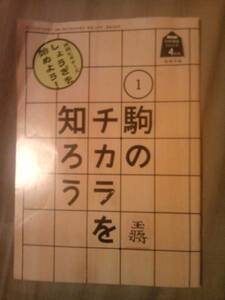 雑誌ＮＨＫ将棋講座2010年4月号付録駒のチカラを知ろう冊子のみ