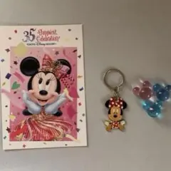 ディズニー Disney ミニーマウス ミッキーアクリルビーズ