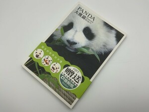 かわいい「パンダ」◇ 中国限定・ポストカードセット！