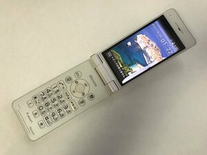 GK859 docomo P-01J 判定〇 ジャンク