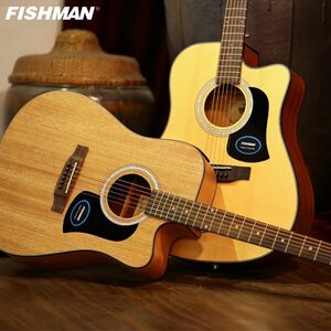 【送料無料】木製ギター ハードケース付き　ピックアップフォークギター 41 インチのアコースティックギターフラットトップ FG350DMC