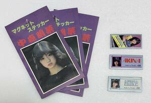 ★ 入手困難 中森明菜 マグネットステッカー 3種 駄菓子屋くじ アマダAMADA 当時物 nakamori akina 昭和アイドル激レア稀少B