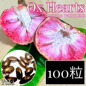 オックスハート(ギュウシンリ) 種子x100[熱帯果樹]Annona reticulata
