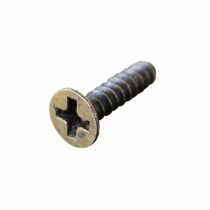 真鍮ネジ 16mm ＋プラス アンティーク調【メール便OK】【Brass screw 1.6cm DIY 】YSA-370997