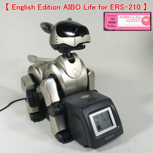 【English Edition AIBO Life】 動作品 ERS-210（本体色ゴールド） 動画公開中 バッテリーリセル済
